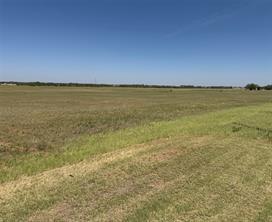 TBD Lot 25 County Road 497 - Photo 31