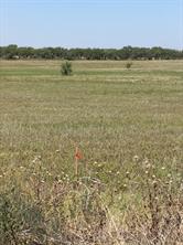 TBD Lot 25 County Road 497 - Photo 5