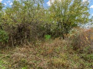 22064 Greenbriar Drive - Photo 4