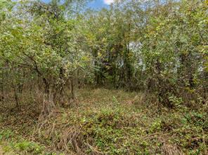 22064 Greenbriar Drive - Photo 5