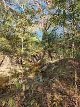 6419 Locust Street - Photo 10
