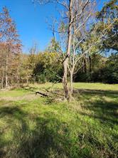 6419 Locust Street - Photo 4