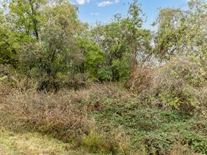 22193 Shady Grove Drive - Photo 5