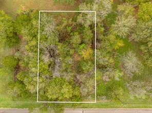 27070 Stonewood Drive - Photo 7