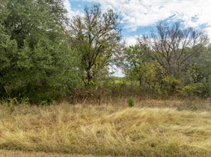 34007 Stonewood Drive - Photo 4