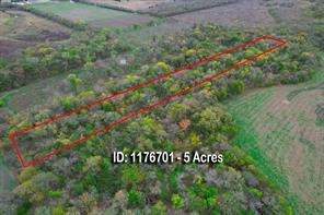 3034 County Road 463 - Photo 10
