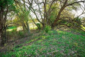 3034 County Road 463 - Photo 17