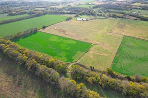 3034 County Road 463 - Photo 35