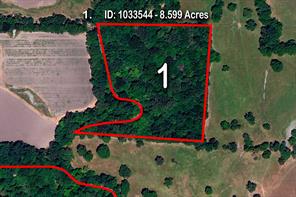 3034 County Road 463 - Photo 5