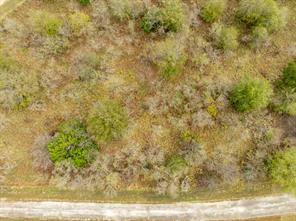 34071 Stonewood Loop - Photo 5