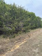12048 Shady Creek Drive - Photo 2