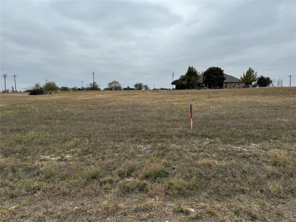 7408 Royal Winchester Drive - Photo 1