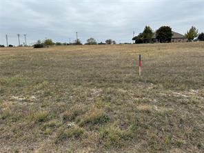 7408 Royal Winchester Drive - Photo 3
