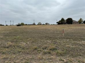 7408 Royal Winchester Drive - Photo 4