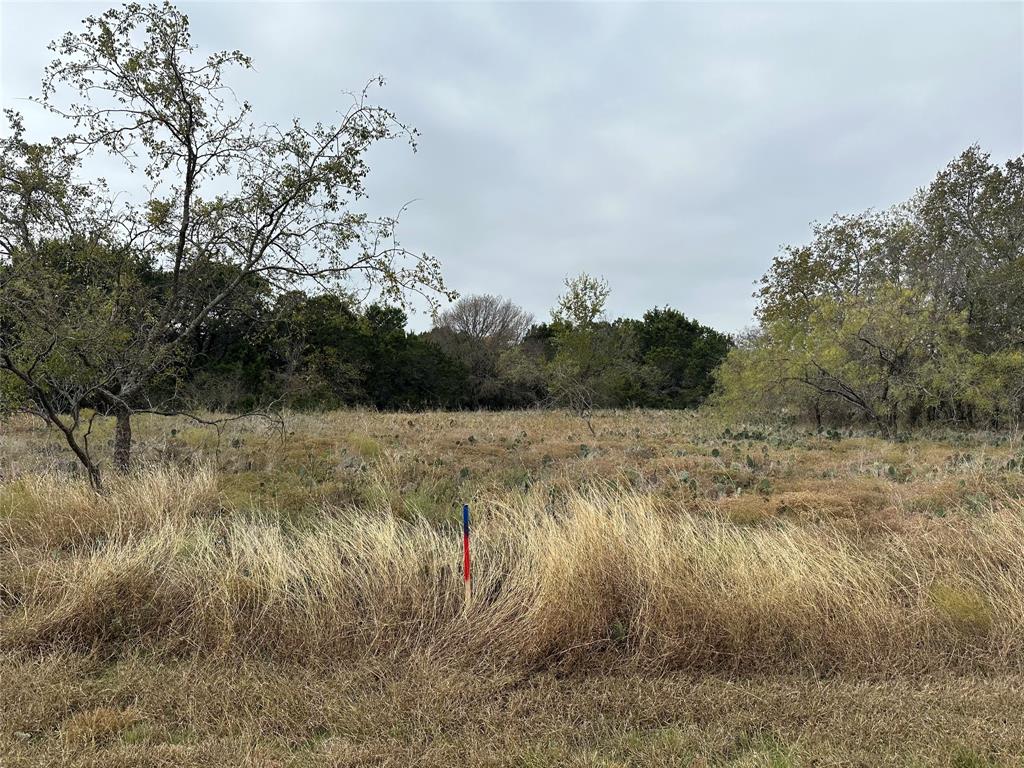 14063 Sandy Oaks Drive - Photo 1