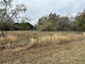 14063 Sandy Oaks Drive - Photo 2