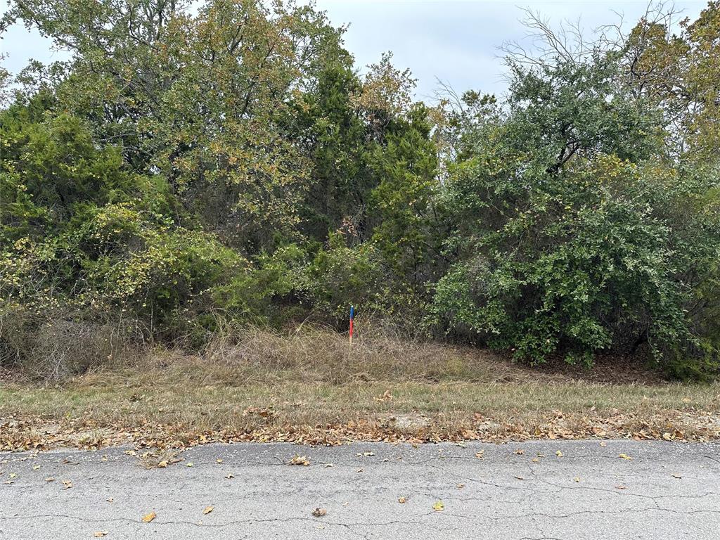 18017 Southhill Drive - Photo 1