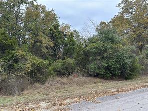 18017 Southhill Drive - Photo 2