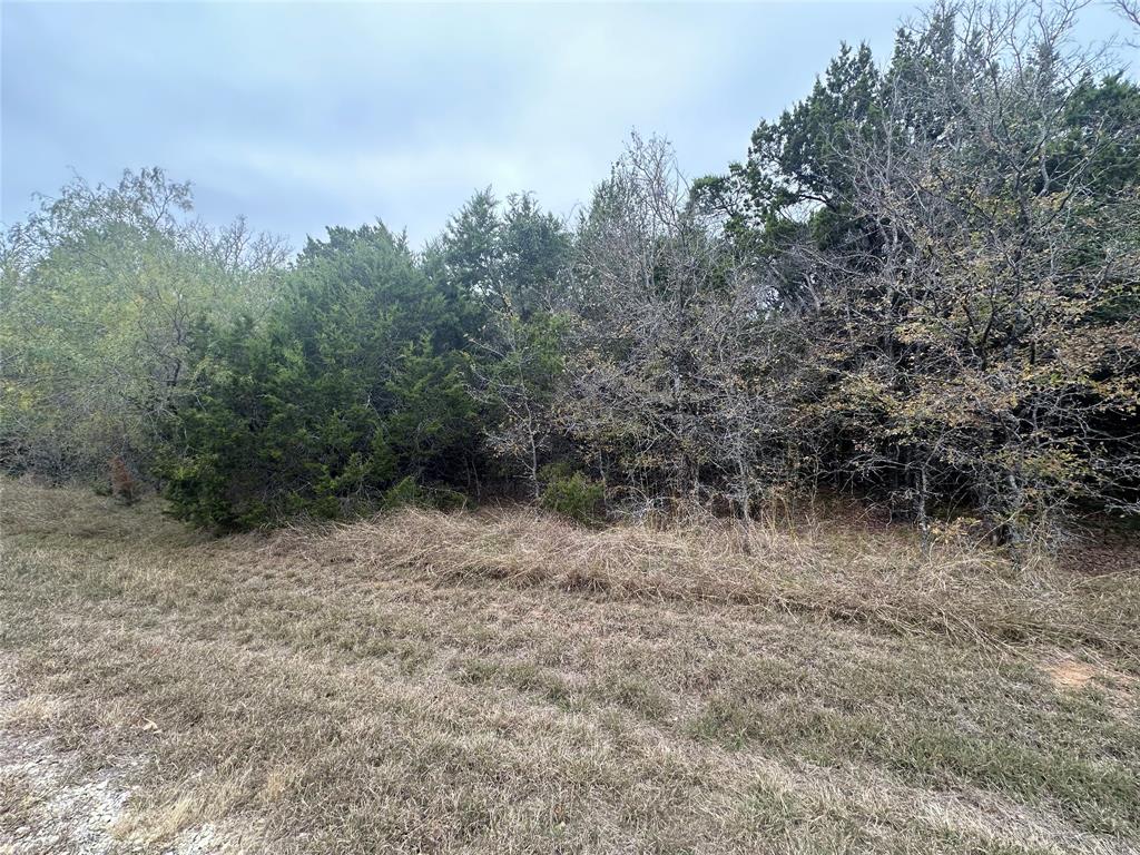 18029 Southhill Drive - Photo 1