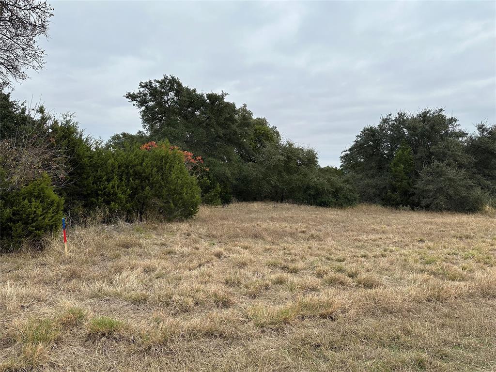 6150 Annanhill Circle - Photo 1