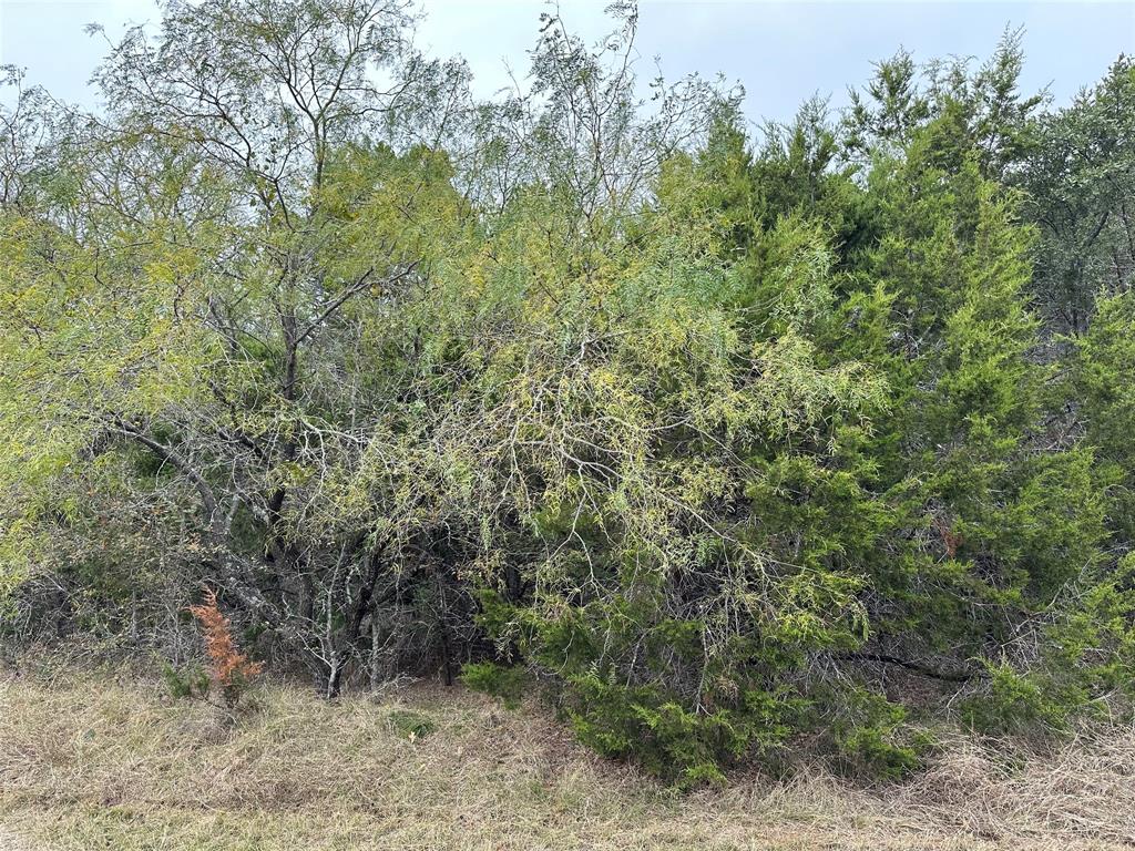 30044 Stonedale Drive - Photo 1