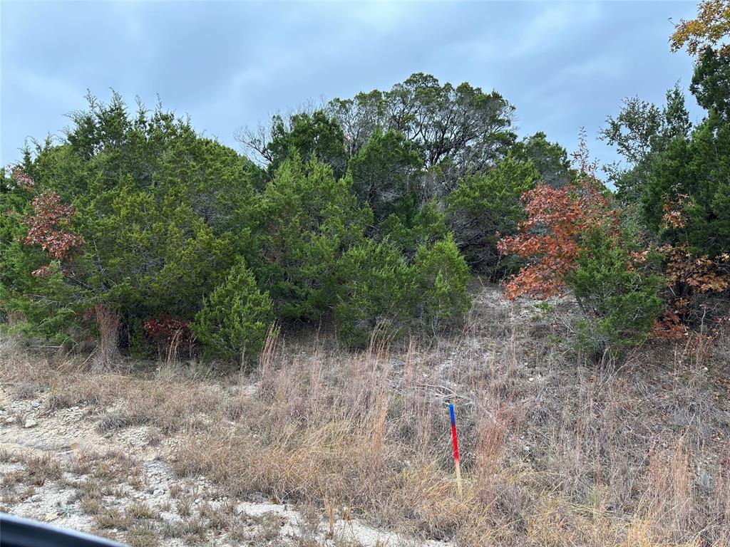 8601 Retreat Boulevard - Photo 1