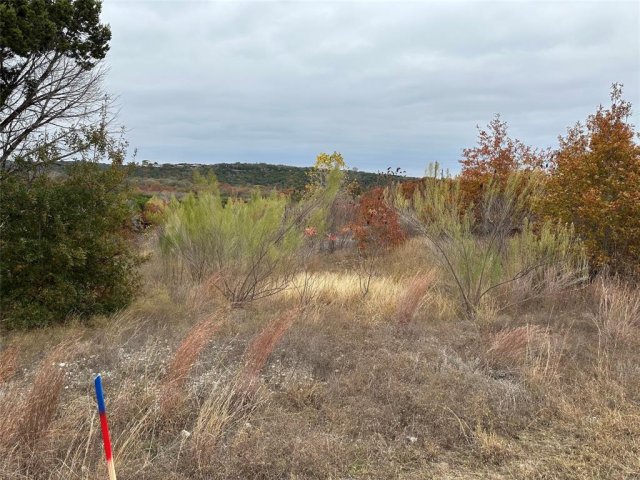 8709 Royal Tarlair Lane