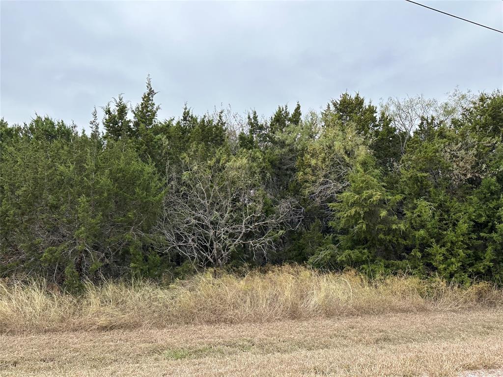 43100 Coneflower Drive - Photo 1