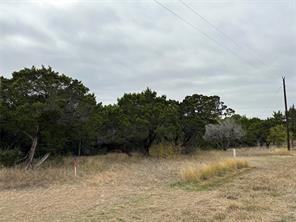 8408 Bruntsfield Loop Drive - Photo 2