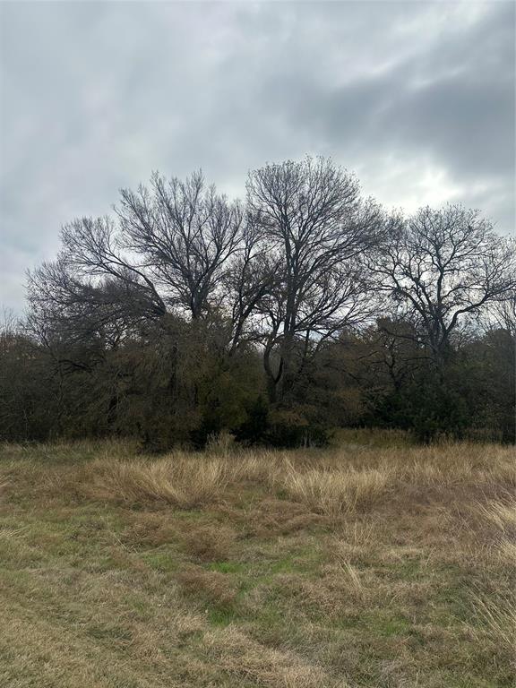 44080 Mountain Sage Drive - Photo 1