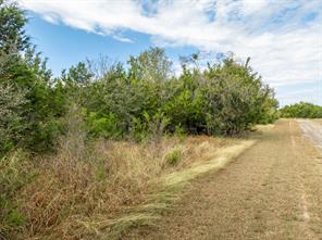 39041 Mesquite Drive - Photo 6