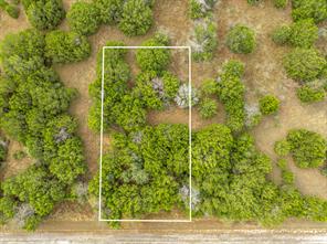 39041 Mesquite Drive - Photo 7