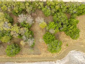 39073 Springwillow Court - Photo 2
