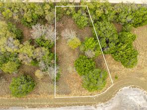 39073 Springwillow Court - Photo 3