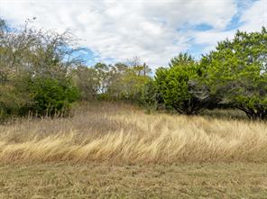 39073 Springwillow Court - Photo 5