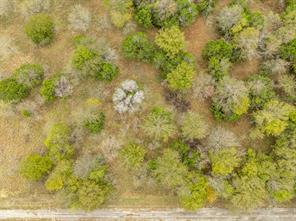 39081 Springwillow Court - Photo 5