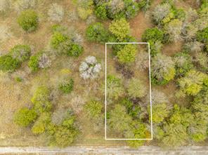 39081 Springwillow Court - Photo 6