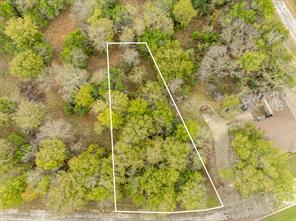 39083 Springwillow Court - Photo 5