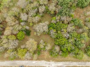 39131 Royalwood Lane - Photo 3