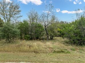 39131 Royalwood Lane - Photo 8