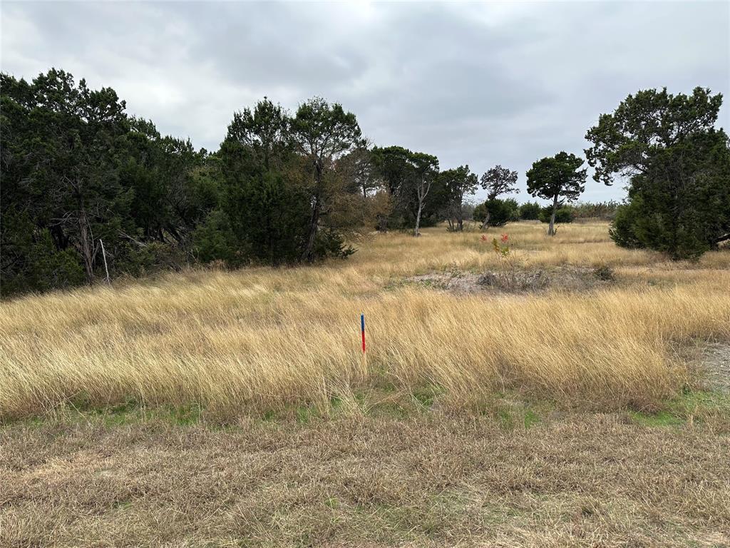 8024 Leven Links Street - Photo 1