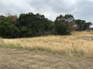 8024 Leven Links Street - Photo 2