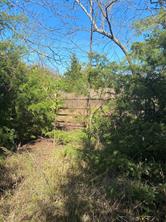 1604 CR 3365 - Photo 10