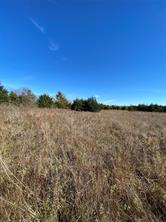 1604 CR 3365 - Photo 5