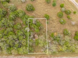 39155 Rock Ridge Drive - Photo 8