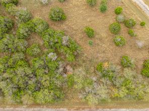 39160 Rock Ridge Drive - Photo 6