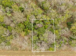 39166 Rock Ridge Drive - Photo 7