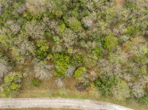 39181 Misty Valley Circle - Photo 5