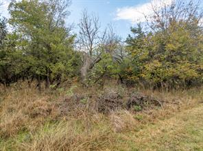 39181 Misty Valley Circle - Photo 6