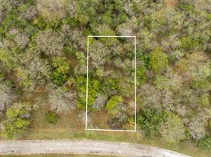 39181 Misty Valley Circle - Photo 7